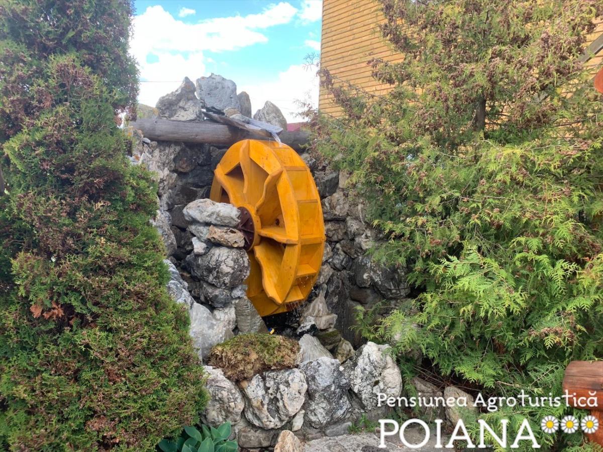 Pensiunea Agroturistica Poiana Poiana Negrii Esterno foto
