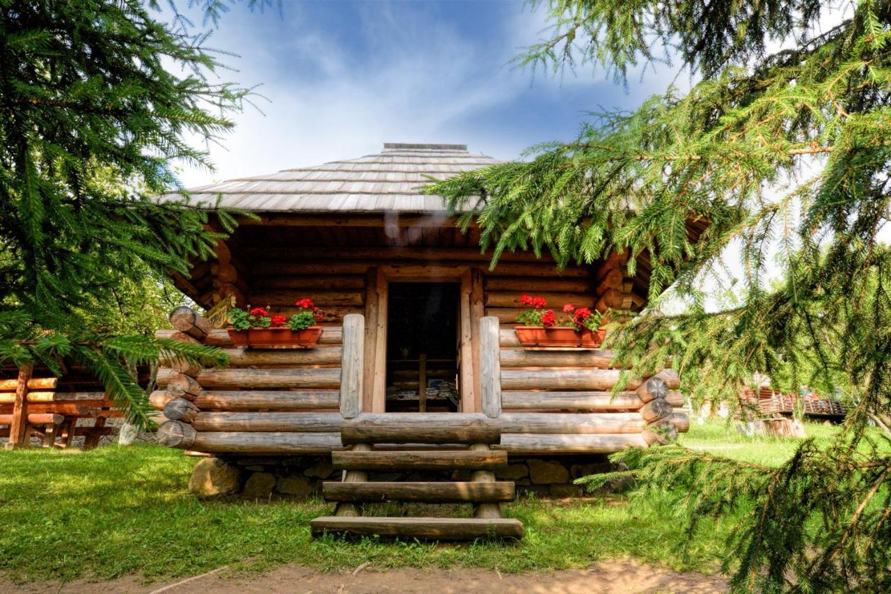 Pensiunea Agroturistica Poiana Poiana Negrii Esterno foto
