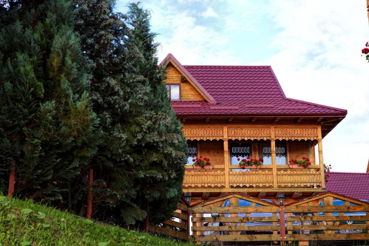 Pensiunea Agroturistica Poiana Poiana Negrii Esterno foto
