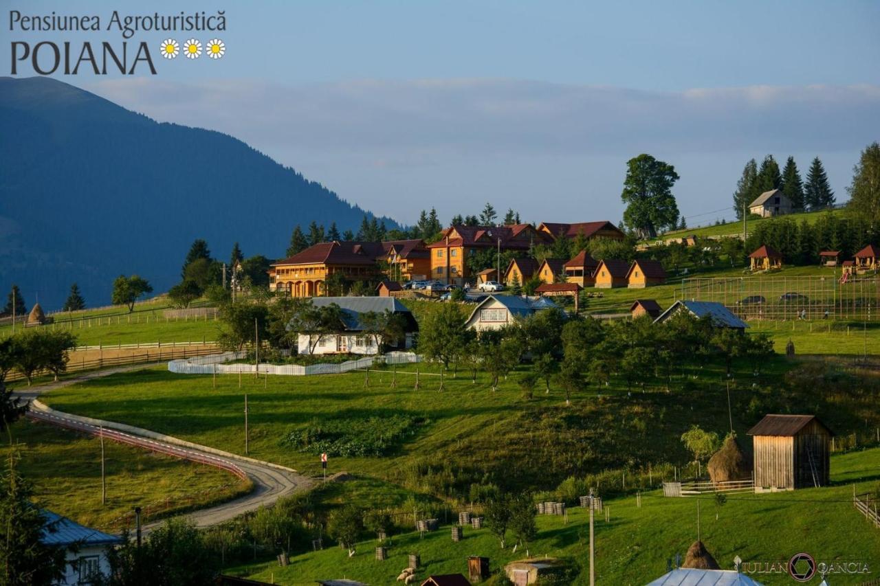 Pensiunea Agroturistica Poiana Poiana Negrii Esterno foto